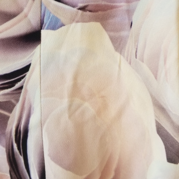 Boss Hugo Floral Rose Print Dress - Picture 6 of 16